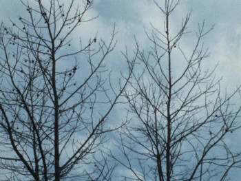 The Blues Under the Skin (1973) download