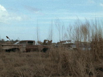 The Blues Under the Skin (1973) download