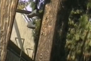 The Bogus Witch Project (2000) download