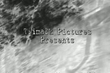 The Bogus Witch Project (2000) download