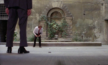 The Cat (1977) download