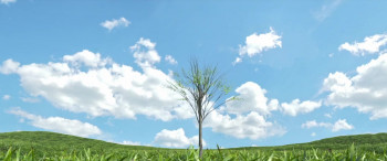 The Descent (2023) download