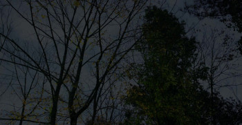 The Devil Is Busy (2024) download