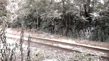 The Devil's Wasteland (2024) download