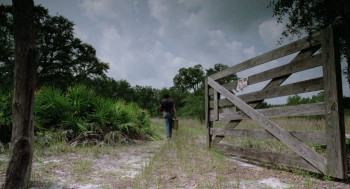 The Enchanted (1984) download