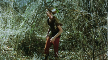 The Erotic Adventures of Robin Hood (1969) download