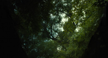 The Exorcist: Believer (2023) download