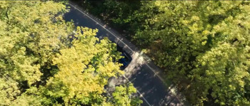 The Final Party (2024) download