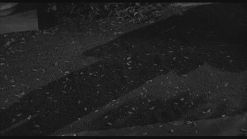 The Four Skulls of Jonathan Drake (1959) download