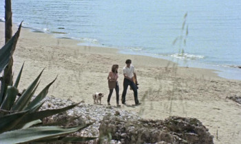 The Grim Reaper (1980) download