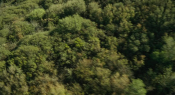 The Haunting of Molly Hartley (2008) download