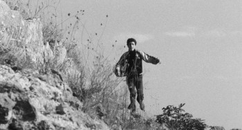 The Hawks and the Sparrows (1966) download