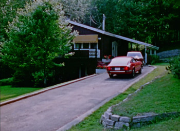 The Heatwave Lasted Four Days (1975) download