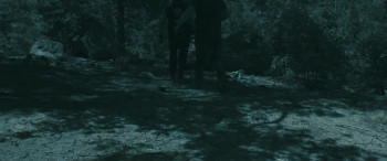 The Holy Trinity (2023) download