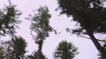 The Jane Doe Murders (2021) download