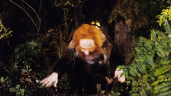 The Last Leprechaun (1998) download