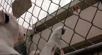 The Last Shot (2004) download