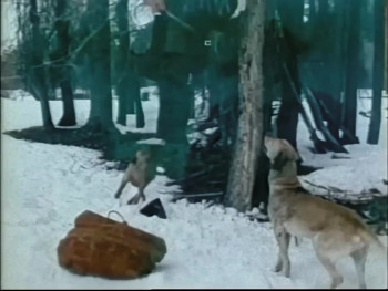 The Legend of Sleepy Hollow (1980) download