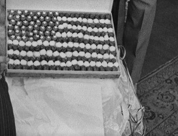 The Little American (1917) download