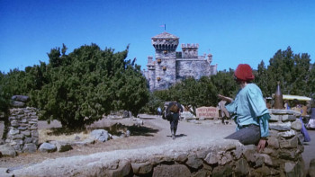 The Lord Protector (1996) download