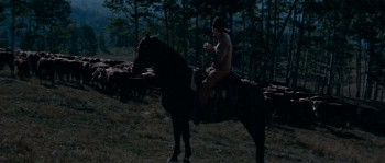 The Maverick Queen (1956) download