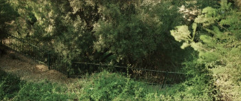 The Monkey House (2023) download