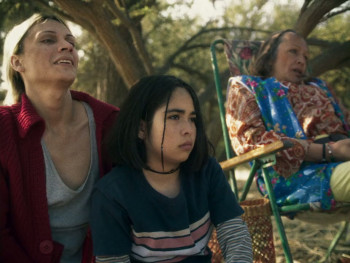 The Mysterious Gaze of the Flamingo (2025) download