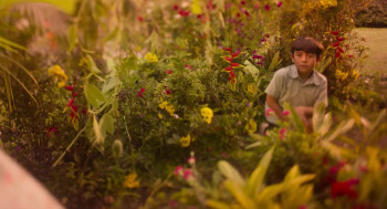 The Other Side (2024) download