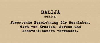 The Parade (2011) download