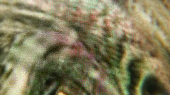 The Pee Pee Poo Poo Man (2024) download