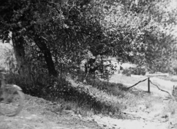 The Pickaninny (1921) download