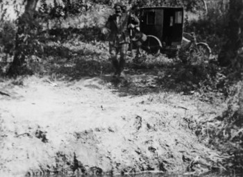 The Pickaninny (1921) download