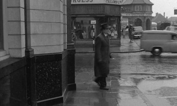 The Professionals (1960) download