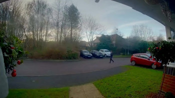 The Real Adolescence: Our Killer Kids (2025) download