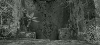 The Savage (2025) download