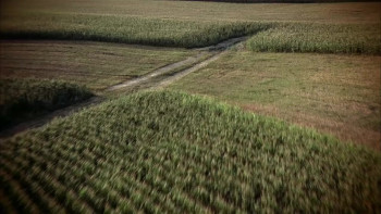 The Scarecrow (2013) download