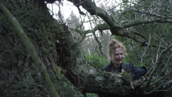 The Secret Diaries of Miss Anne Lister (2010) download