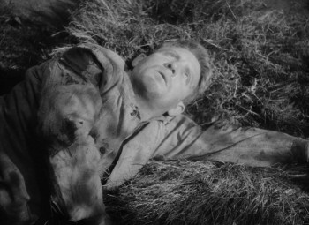 The Seventh Cross (1944) download