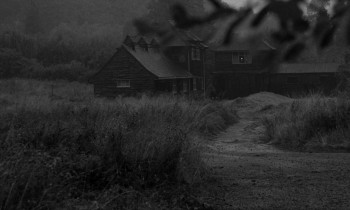 The Snake Woman (1961) download