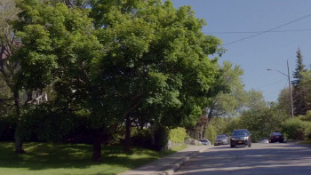 The Stepchild (2016) download