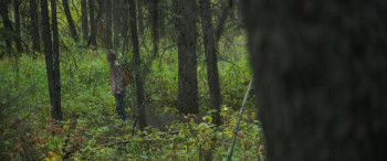 The Sticks (2025) download