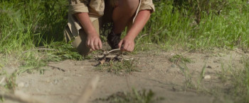 The Sticks (2025) download