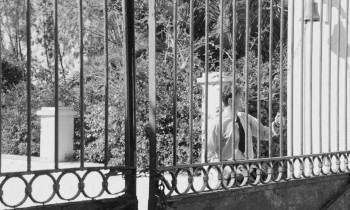 The Stranger (2025) download