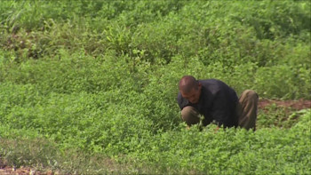 The Strangest Dream (2008) download