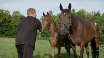 The Truth Is in the Stars (2017) download