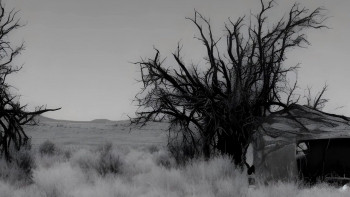 The UFO Chronicles: A History of Mysterious Sightings (2023) download