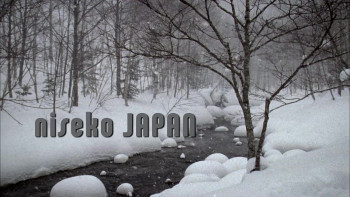 The Way I See It (2010) download