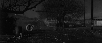 The Wayward Bus (1957) download