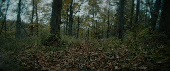 The Well (2025) download