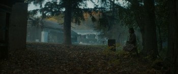 The Well (2025) download